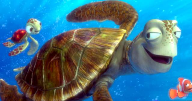 träume von Schildkröten auf der Suche nach Nemo