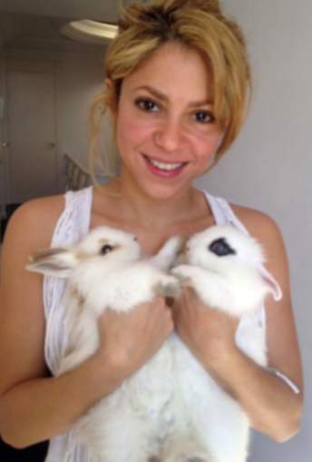 Shakira con i suoi conigli: sognando conigli