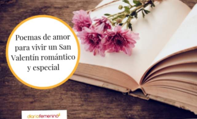 Les poèmes les plus romantiques pour Valentine