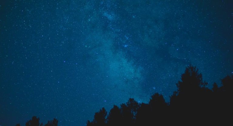 Ciel etoile et voie lactee au-dessus de silhouettes d arbres la nuit