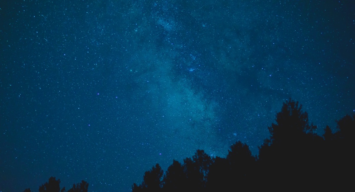 Ciel etoile et voie lactee au-dessus de silhouettes d arbres la nuit