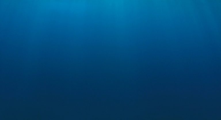 Dégradé de bleu profond évoquant la sérénité