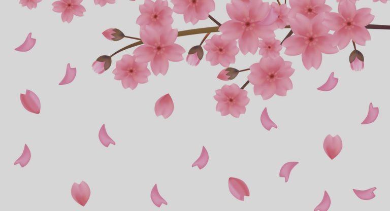 Branche de fleurs de cerisier rose avec pétales qui tombent