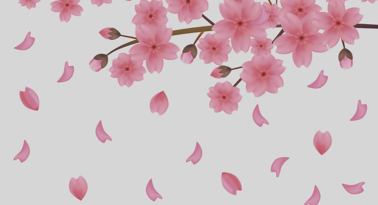 Branche de fleurs de cerisier rose avec pétales qui tombent
